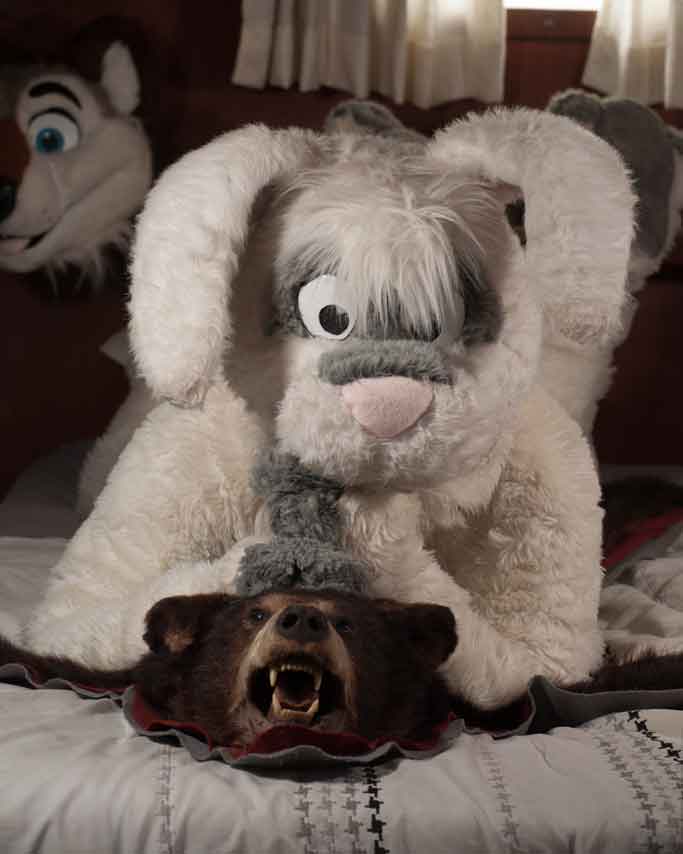 Rabbit fursuit on a bear skin rug
