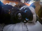 Your photo here